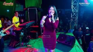 Download lagu CAMELIA MUSIC - IKAN DALAM KOLAM - RIA ANDIKA - WEDDING AFIF & DINDA KALIGARANG KELING JEPARA mp3