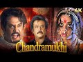 New Released South Dubbed BLOCKBUSTER Hindi Full Movie 4K Chandramukhi Bhool Bhulaiyaa Rajinikanth