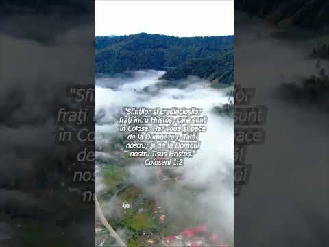 Epistola către Coloseni a Apostolului Pavel 1:2  Har vouă şi pace de la Dumnezeu #creștini #biblie