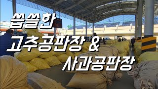 이제 안녕 고추공판장 & 낙찰가 찬바람 부는 사과공판장