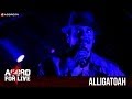 ALLIGATOAH - FICK IHN DOCH - AGGRO 4 LIVE ...