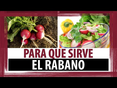 Como se toma el rabano yodado para adelgazar