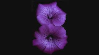 Beth Hart &amp; Joe Bonamassa - Ain&#39;t No Way