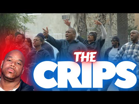 This Why Wack 100’s Life in DANGER? 83 Gangsta Crips Trippin Bout ANT JEFE