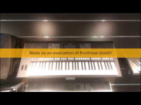 na cinteru idzem sladak    Gypsy Daniel