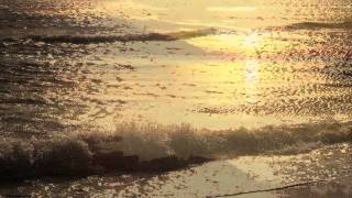 The Rosenberg Trio - The Shadow Of Your Smile