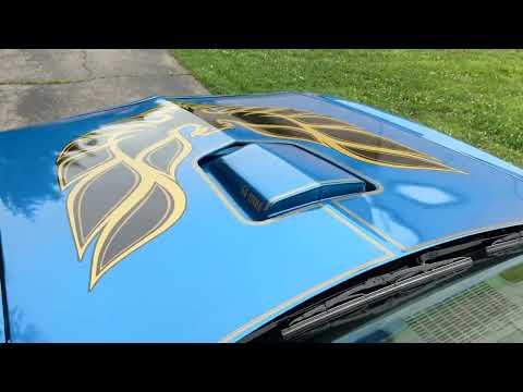 1978 Pontiac Firebird Trans Am (CC-2084047) for sale in Milford, Ohio