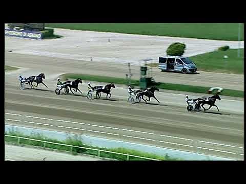 Napoli Trotto 12/06/2021 - 2ª corsa