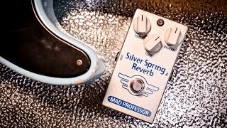Video thumbnail for Mad Professor Silver Spring Reverb  - Review by EytschPi42