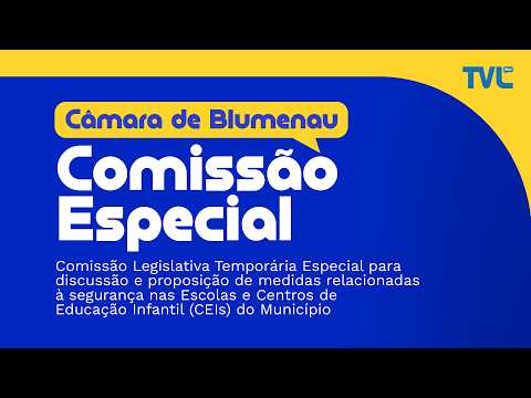 Comissão Segurança nas Escolas - 10/08/2026