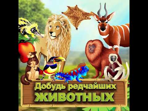 Мой Зоопарк