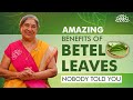 Discovering Betel Leaves Benefits | From Digestion to Skin Health | Nature's Remedy | Dr. Hansaji