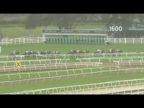 Surefire wins the Chairman's Quality at Randwick