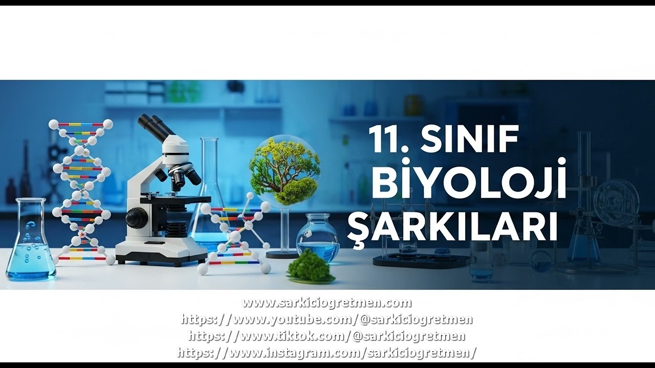 11  Sınıf Biyoloji   Ortak Yaşamın Farklı Yüzleri  Yararlı, Zararsız ve Zararlı Birliktelik