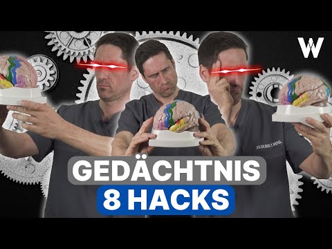 Hirntraining: Meine 8 Hacks für ein besseres Gedächtnis und mehr Wissen...ganz einfach für Alle