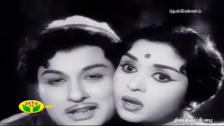 Download lagu Thirumbi Vaa Oliye Nadodi MGR Movie HD Song திரும்பி வா ஒளியே நாடோடி mp3 Download lagu Thirumbi Vaa Oliye Nadodi MGR Movie HD Song திரும்பி வா ஒளியே நாடோடி mp3