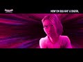 SPIDER MAN ACROSS THE SPIDER VERSE Buy It Now On Blu Ray Digital