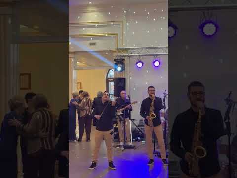 Orkestar Stefana Jelića - "INSTRUMENTAL"  Svadba 25.2.2024 ( Beli dvor Čačak )