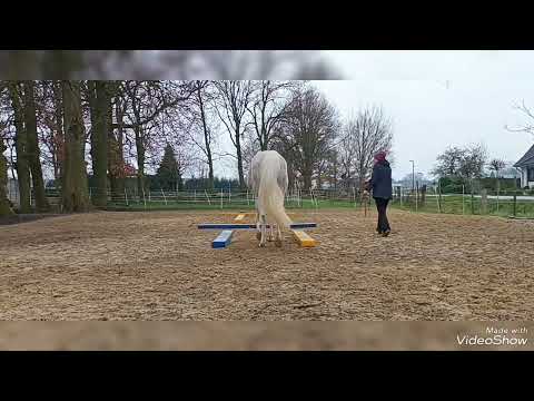 Dualaktivierung mit Nico & Hafida