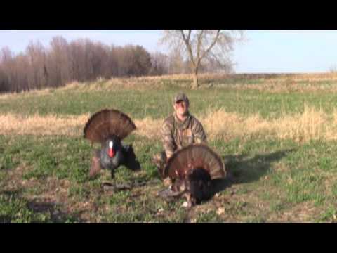 Scoot n Shoot Tom for Justin!