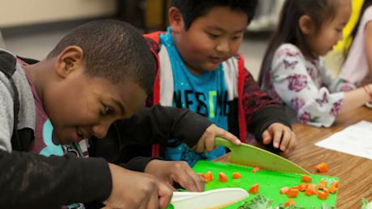 Food Literacy: The Life Skill Finally Being Taught in Schools.
