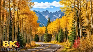 Rocky Mountain National Park - Grand Lake to Estes Park Drive on Trail Ridge Road in Autumn 8K