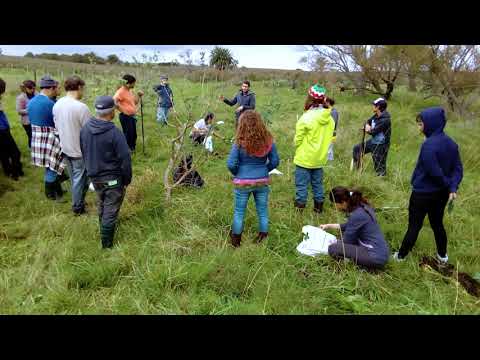 Implementación de Sistemas Agroforestales para la Mejora Ambiental - Empalme Dogliotti, Canelones