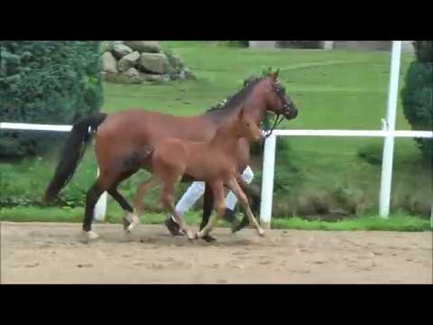 48 - Newlands My Way