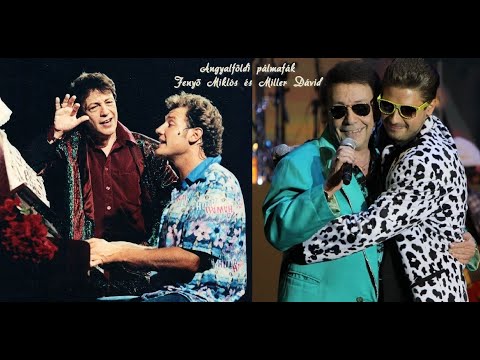 Angyalföldi pálmafák  -  Miller Dávid és Fenyő Miklós  (OFFICIAL)