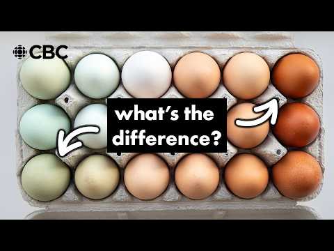 You don’t know sh*t about eggs