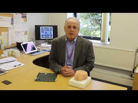 Professor Steve Furber Introduces SpiNNaker