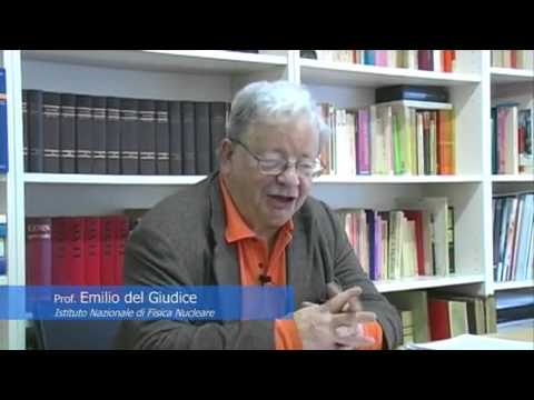 Osteoartrite solo nelle due articolazioni Perché giunti in attività sportive crackle