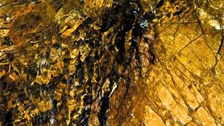 05 Oren Ambarchi - A Final Kiss On Poisoned Cheeks [Touch]