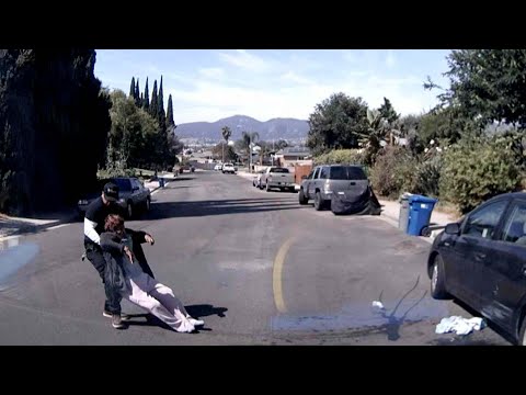 Hero Plumbers Spring Into Action After Bee Swarm Attacks Grandma