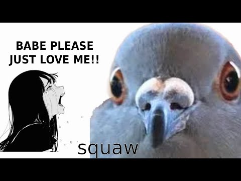 I Played a Dating Sim About Pigeons…  It Was Fantastic | Hatoful Boyfriend Gameplay | Part One