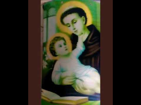 දරුවන්ගේ ඉගෙනුම වෙනුවෙන් ශු .අන්තෝනි මුනිදුන්ට කරන යැදුම .The prayer of st' anthony