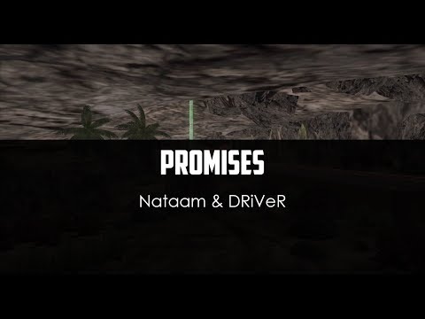 Nataam ft. DRiVeR - Promises