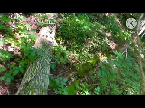 Trying to find the Woodknock location 