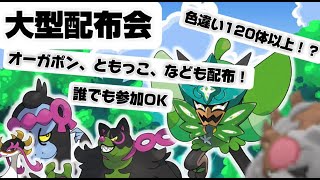 【初見さん大歓迎大型配布】オーがポンやガチグマ、色違いポケモンなどの大型配布！！！！