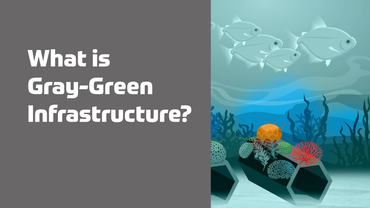 What is Gray Green Infrastructure?