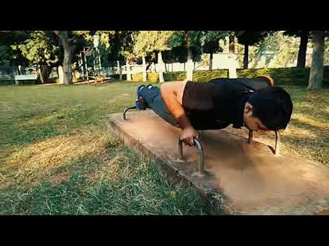 gaurav malik natural exe...