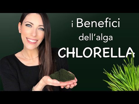 L' alga Clorella (o Chlorella) è un Super Food👉🏻 Tutti i benefici che dovresti conoscere