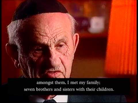 Mordechai Wiesel's Testimony