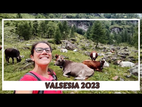 RIFUGIO PASTORE E RIFUGIO CRESPI CALDERINI