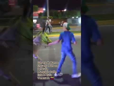 Carrera de Burros En #santabarbaradelzulia #municipiocolon Estado Zulia #venezuela