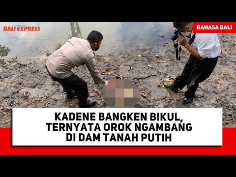 Kadene Bangken Bikul, Ternyata Orok Ngambang di Dam Tanah Putih