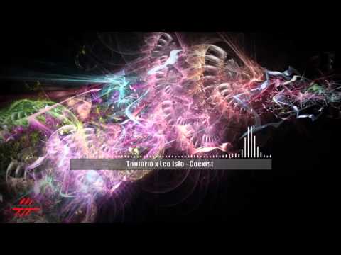 Tontario x Leo Islo - Coexist