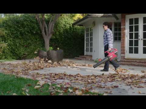 Toro® PowerPlex™ 40V Max* Brushless DC Blower POS