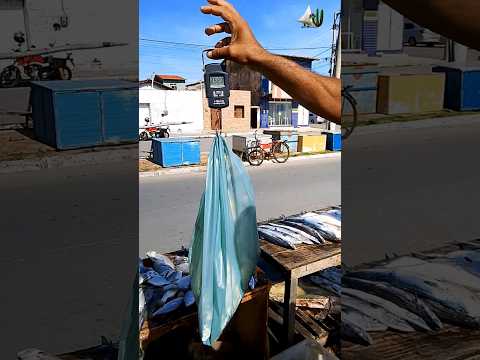 típico vendedor de peixes desenrolado de Camocim Ceará Brasil #fisherman #pescaria #mar #praia