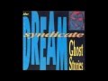 Dream Syndicate - Never Ending Rain [live 1988]